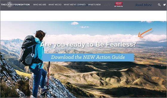 FEARLESS-opt