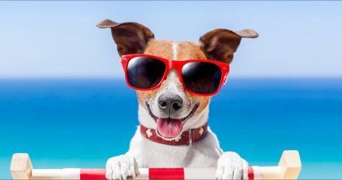 vacationo