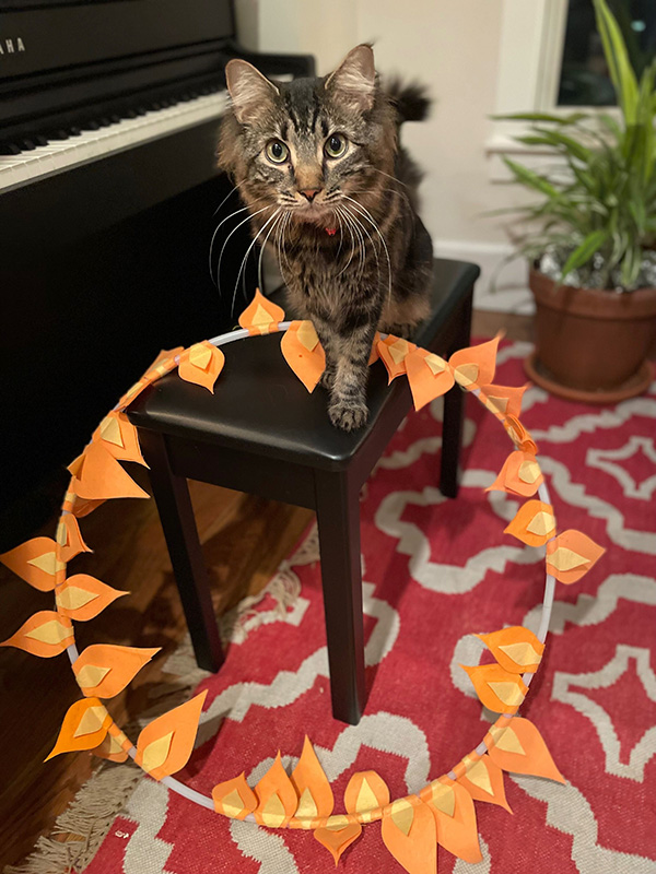Joan's Cat