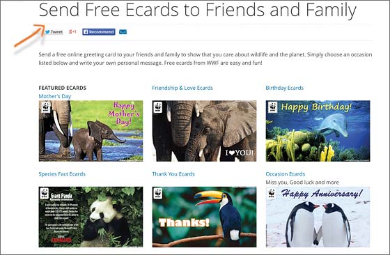 WWF-opt
